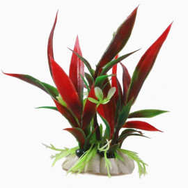 PLANTA ROJA Y VERDE