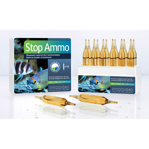 STOP AMMO