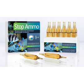 STOP AMMO