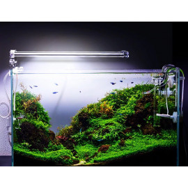 Luz led freshwater 22cm 6W LED crystal clip Light