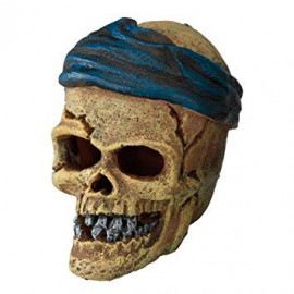 PIRATE SKULL HEAD CRACK 7.2c6c7.8cm AQUA DELLA