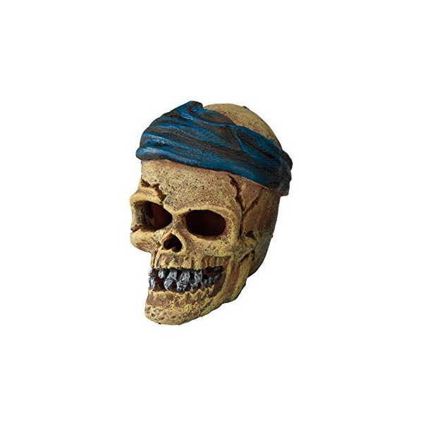 PIRATE SKULL HEAD CRACK 7.2c6c7.8cm AQUA DELLA