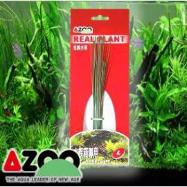 Planta seda Blyxa Japonica 6'' Azoo