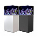 Reefer 170 Aquari, moble i sump