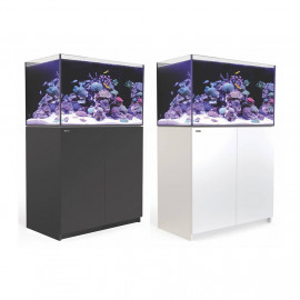 Reefer 250 acuario, mueble y sump