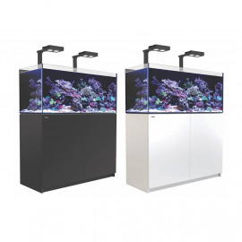 Reefer 350 Deluxe amb kit i llum led