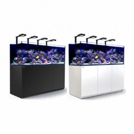 Reefer XL 750 amb kit i llum led 90w