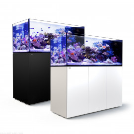 Reefer Peninsula 650 Acuario, mesa y sump