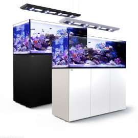 Reefer Peninsula 650 Aquari, taula i sump llum led i kit montatge