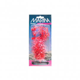 anacharis marina vibrascaper