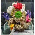 Estructura coral Artificial moduls 22x14x19 cm
