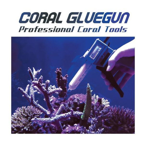 Coral Glue Gun maxspect