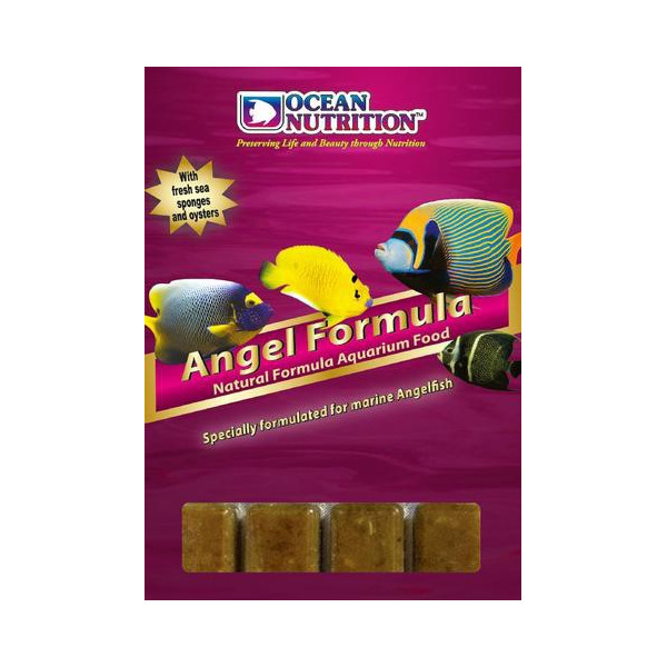 Formula Angel 100g