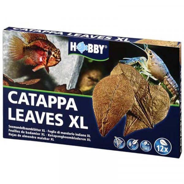 HOJAS DE CATAPPA HOBBY XL