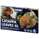 FULLES DE CATAPPA HOBBY XL