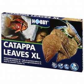 HOJAS DE CATAPPA HOBBY XL