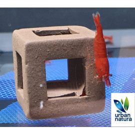 cubo ceramica para gambas 2x2 cm