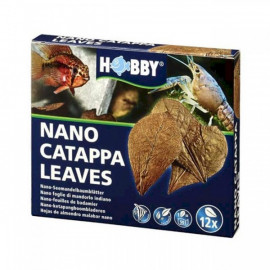 HOJAS DE CATAPPA HOBBY NANO