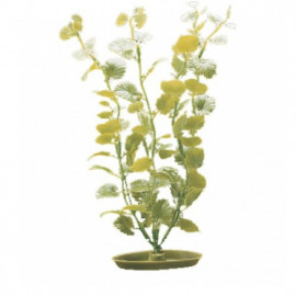 Lismachia Maneywort 30 planta plastico