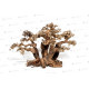 Forest Bonsai S