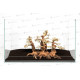 Forest Bonsai S