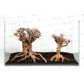 Mammoth Bonsai S