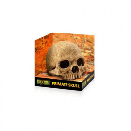 REFUGIOS FÓSILES EXO TERRA Primate Skull