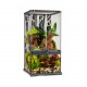 PALUDARIO TERRARIO DE CRISTAL EXO TERRA Mini X-Tall 30X30X60cm