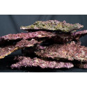 Real Reef Rock - Shelf Rock caja 25/27kg