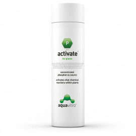 ACTIVATE AQUAVITRO 350 ML