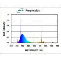 Purple Plus 24 w ATI