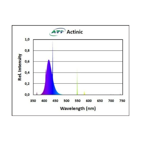 Actinic 24 w ATI