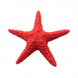Estrella de mar roja 15,5 cm