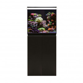 Aquari marí amb Sump AQUA OCEAN PRO (163 l)