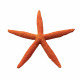 Estrella fina roja 15.5 cm