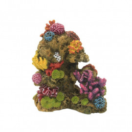 Conjunto Coral Reef 12 cm