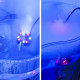 Generador de niebla con luces LED REPTI-SELVA (0.5 W)