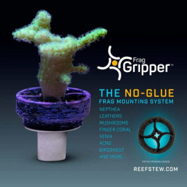 Frag Gripper No-Glue-Frag Mounting System Black (bases para corales)