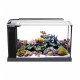 ACUARIO MARINO FLUVAL EVO 19L