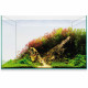 Kit AQUASCAPE BASIC 38 (34.4 l)