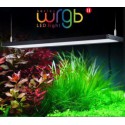 Serie WRGB2 